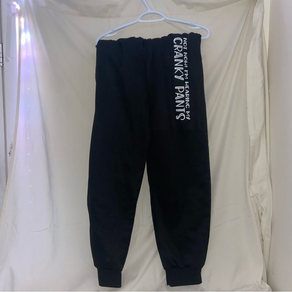 ☾.݁ᛪ༙“Not Now, I’m wearing my Cranky Pants.” 2XL womens Sweatpants